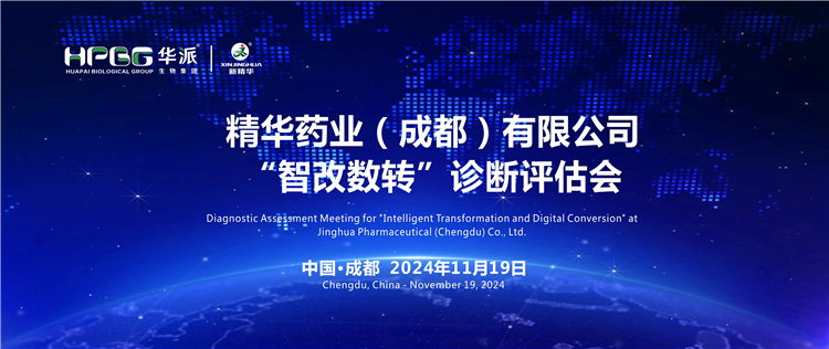 智能制造｜专家组莅临华派集团&middot;万利官网入口药业开展&ldquo;智改数转&rdquo;评估诊断