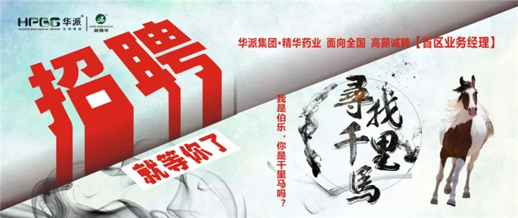 寻找千里马 | 华派集团&bull;万利官网入口药业面 向天下高薪诚聘【省区营业司理】 我是伯乐，，，，，你是千里马吗？？？？？？