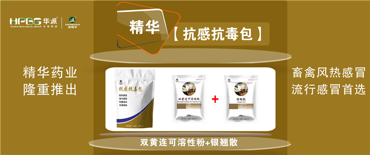 科普：几种常见畜禽伤风与盛行性伤风的防控 |【抗感抗毒包】抗菌消炎、解热排毒、抗毒增免，，，，，，畜禽风热伤风、盛行伤风首选!