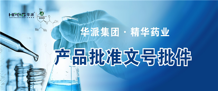产品资质 | 华派集团&middot;万利官网入口药业产品批准文号批件