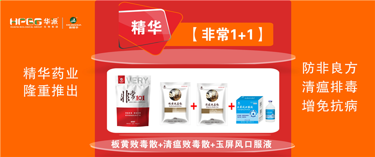 科普：非洲猪瘟防控步伐 |【很是1+1】防非良方, 清瘟排毒、增免抗病，，，，，，加速猪瘟抗体爆发!